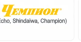 Champion